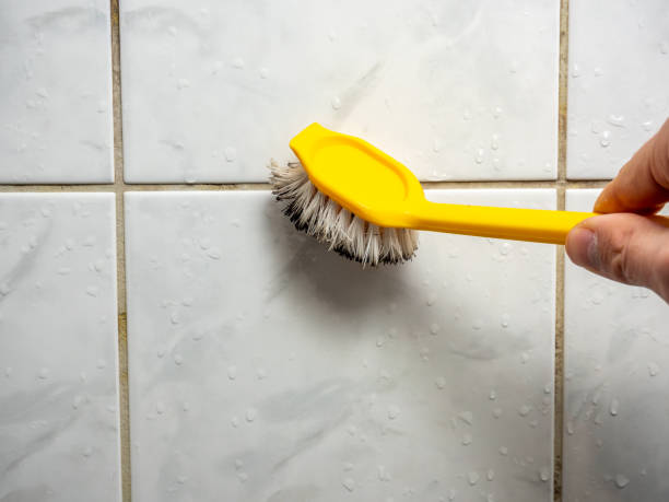 Best Affordable Mold Removal  in Blackhawk, CA