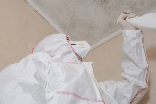 Best Mold Testing  in Blackhawk, CA